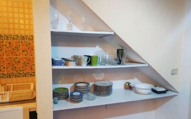 House of Ficus Banderilla,veracruz-mexico