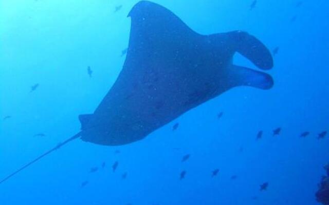 Sundive Lodge Maldives