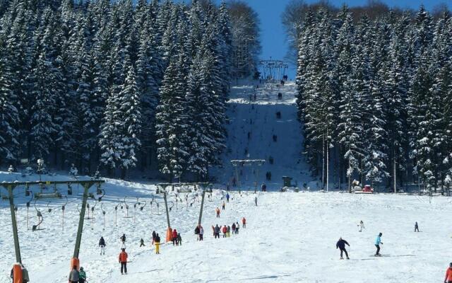 Pleasing Holiday Home near Ski Area in Schmallenberg Germany