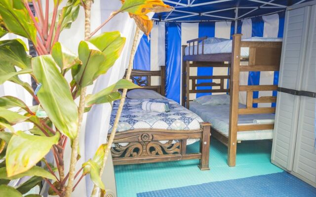 Glamping Safari - Hostel