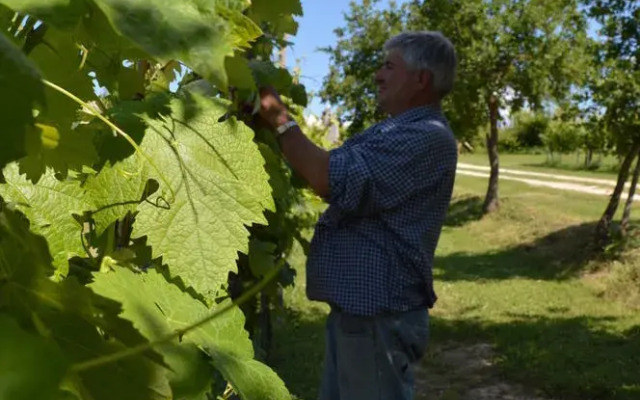 Agriturismo Eco-Bio Villa Vacasio