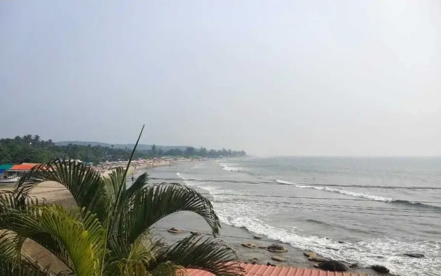 Hill Top Arambol