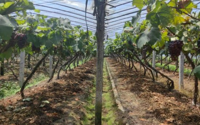 Chengshi Xiaoshe (Jinyun Tourist Transport Distribution Center, Wandi Square Branch)