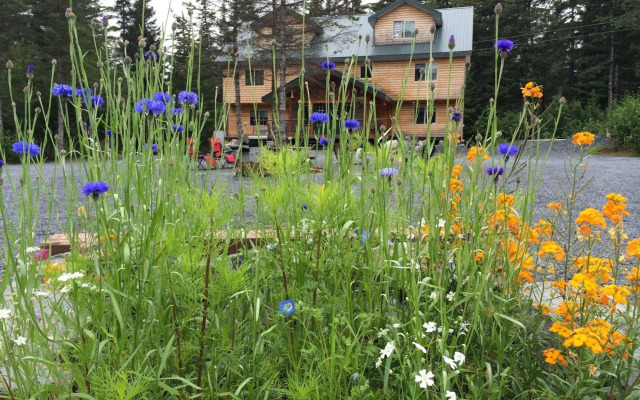 Twin Peaks Lodge and RV Park