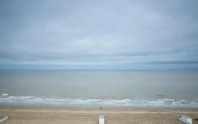 Flat in Blankenberge With Ocean Views