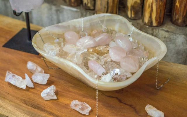 Jungla y Estrellas K AAX EK