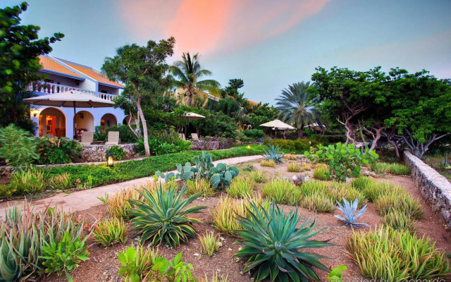 Kura Hulanda Lodge & Beach Club - All Inclusive