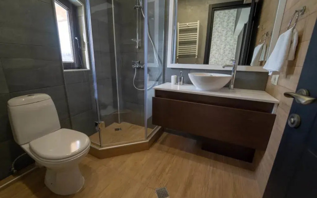 Bakuriani Resorts Hotel