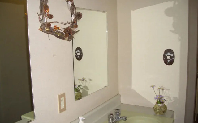 Japanese-Style Pension Hoshikawa