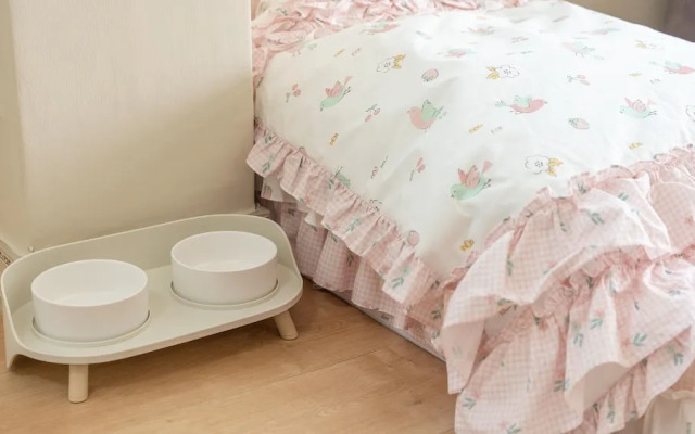 Yeosu Canada meo Village pet Pension