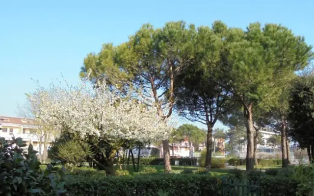Riviera Resort