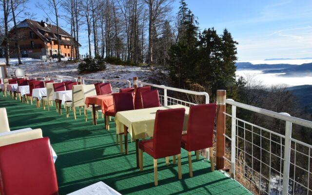 Bat Hotel Bistrica