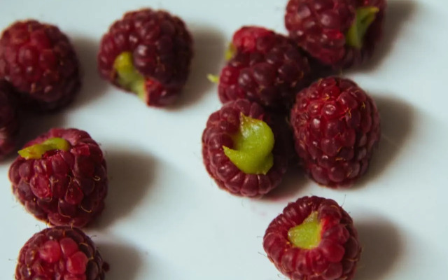 Chalet Saskia - Catered