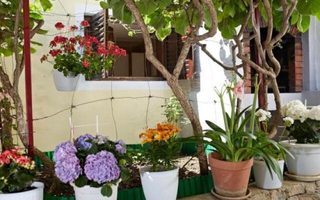 Room in Little House Marjan