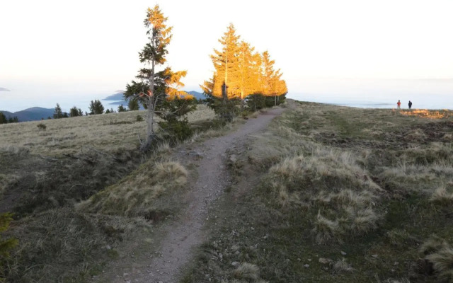 Le Holzberg et ses Suites