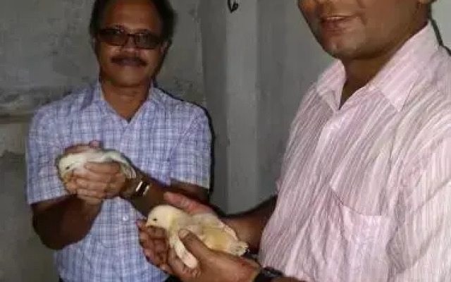 Sneha Farm House
