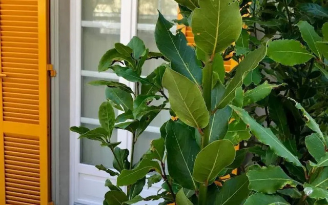 Liberty Room And Breakfast