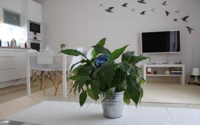 Apartment Hulina