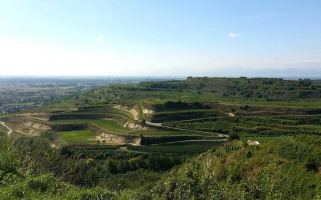 Ferienwohnung Bella Rosa