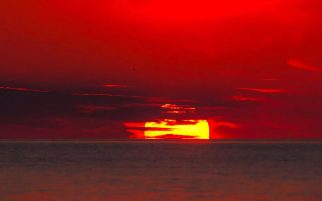 Holiday Home, Private Sauna, Close to the Beach