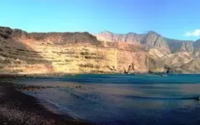 Palmeral PaMi