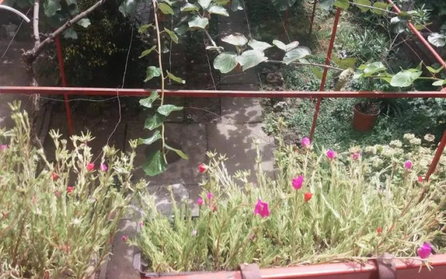 Julija Guest House