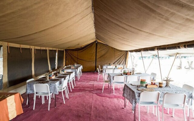 Serengeti Wild Camp