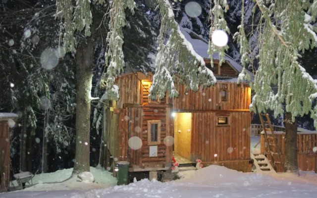 Lodge Between The Pine Trees