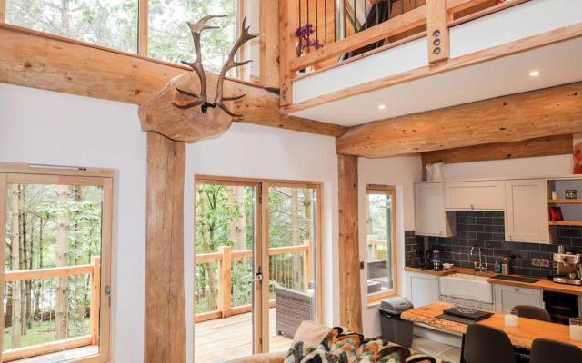 Pine Marten Lodge
