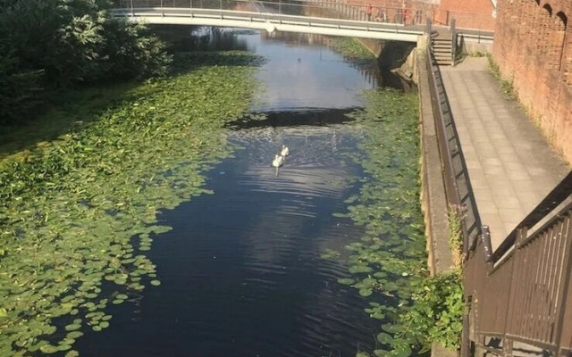 ChocoLets - The Quality Suite