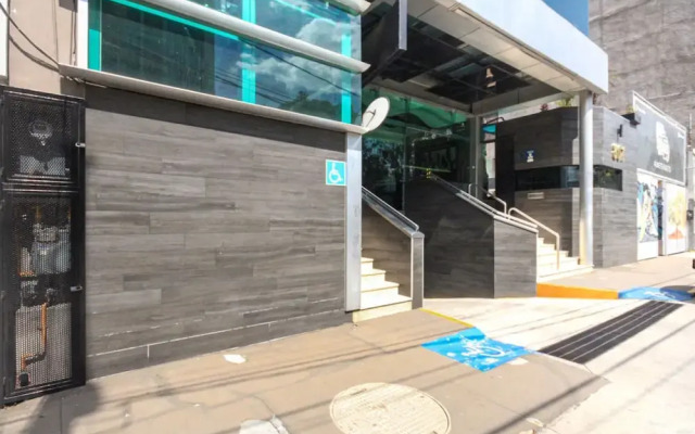 The Midnight Bloom Suite