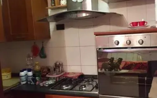 Il girasole