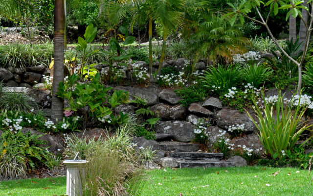 Sanctuary in the Cove
