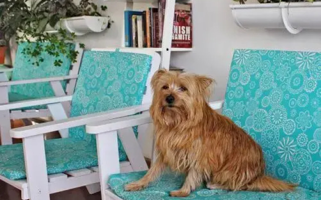 Apartamentos Gelimar