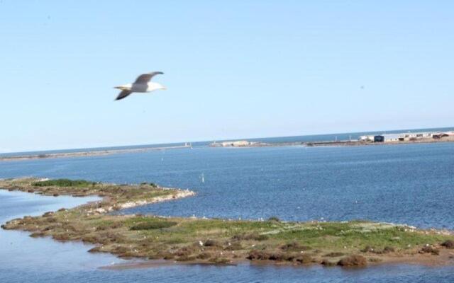 Maison Gruissan, 3 pièces, 5 personnes - FR-1-229-774