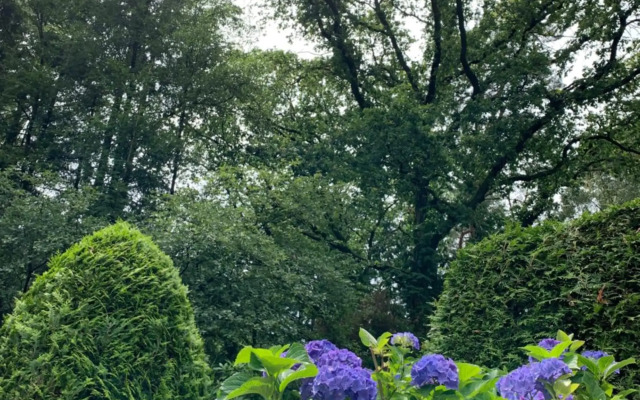 Zonnebos, private garden, fresh air, relax!