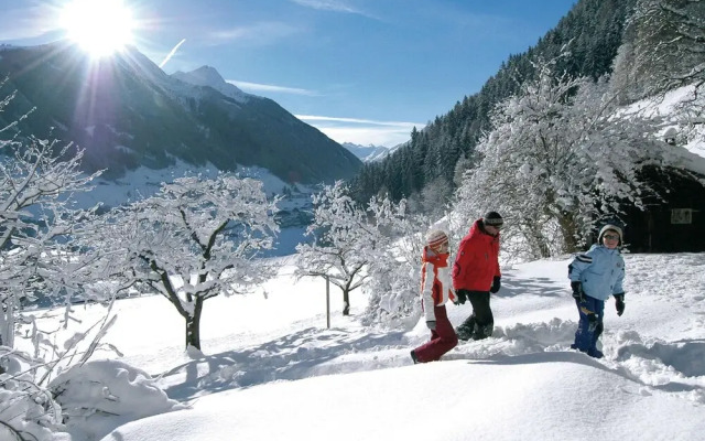 Contemporary Apartment in Kampl near Ski Area