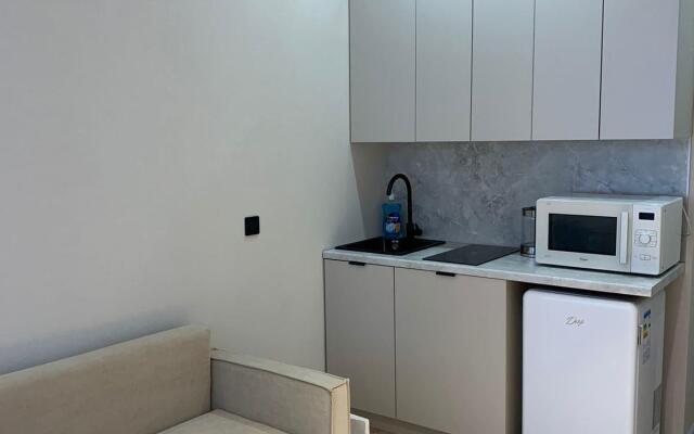 Апартаменты на улице Нурсултана Назарбаева 35к1