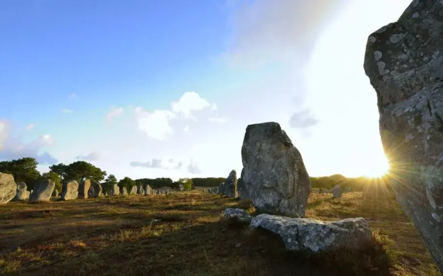 Becassine des Marais