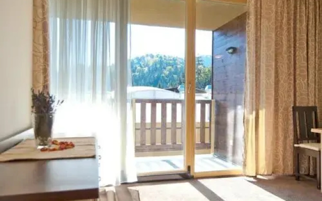 Wellness & Spa hotel Certov