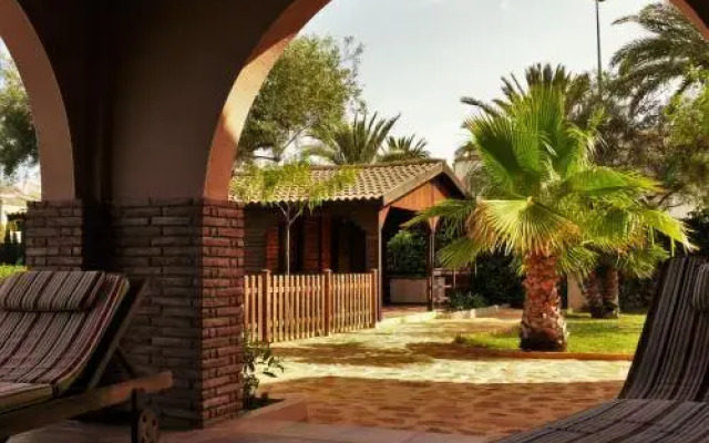 Mil Palmeras