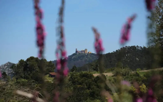 A House in The Woods