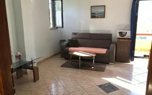 Apartment JELENA