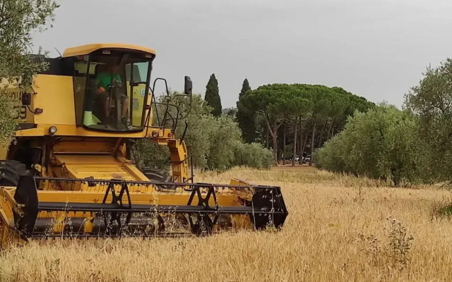 Agriturismo Bio Pian Dei Casali