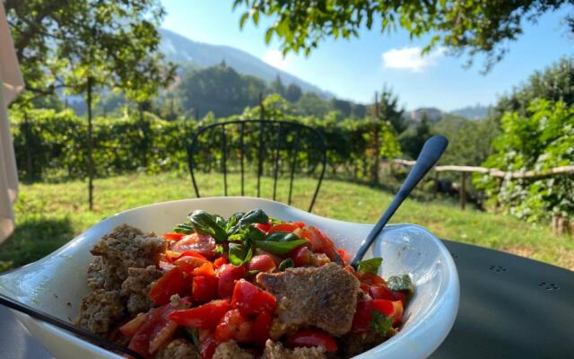 Tenuta Novecento Bio Agriturismo