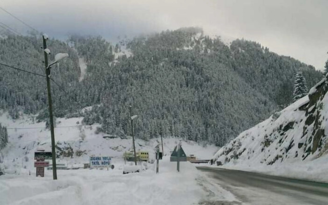Hamsiköy Zitaş Bungalov & Restoran