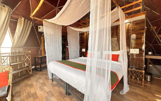 Nestonature Glamping Dharamshala