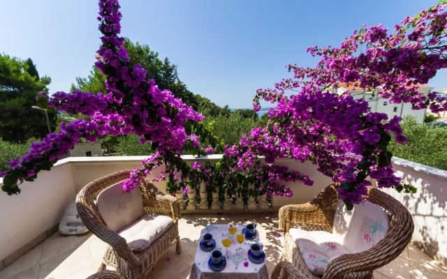 Apartment Pupa - nice family apartments: A3 Tea Petrcane, Zadar riviera