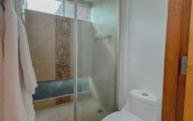 Condesa Haus Rentals