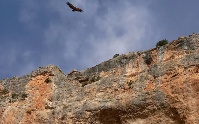 Hotel Balneario Sicilia